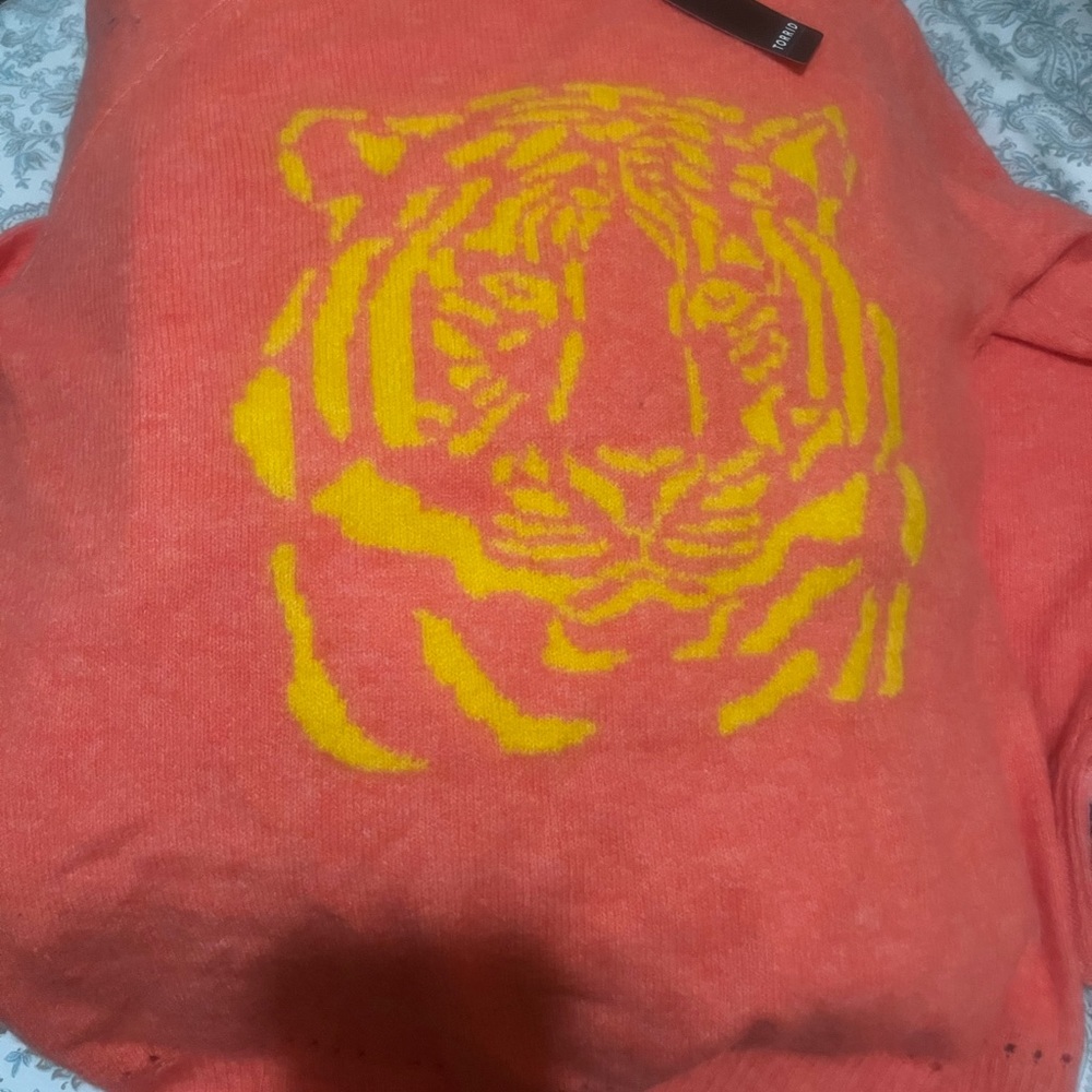 Torrid sweater
